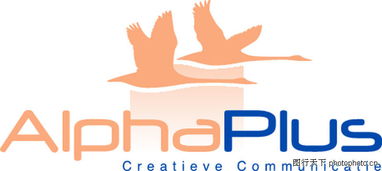 全球廣告設(shè)計公司矢量標(biāo)志0065 飛鳥元素與創(chuàng)意設(shè)計的完美融合