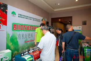 紅海突圍 在飽和的柑橘市場中，哪些品種仍在創(chuàng)造財(cái)富奇跡？